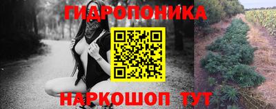 jwh Будённовск