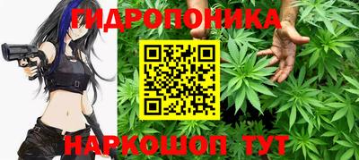 jwh Будённовск
